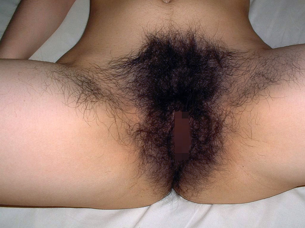 ゴクリ・・・この剛毛マン毛やケツ毛までびっしり生えてるおまんこって、セックスの時に毛にマン汁が絡みついてベットベトのイヤラシイまんこになるパターンや・・・・・・・【】